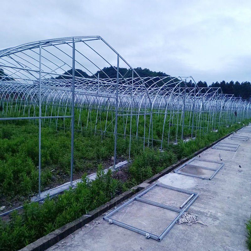 建陽大棚骨架