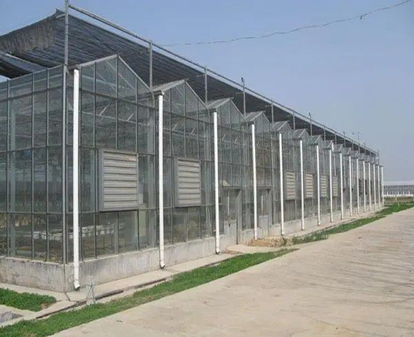 武穴連棟溫室大棚