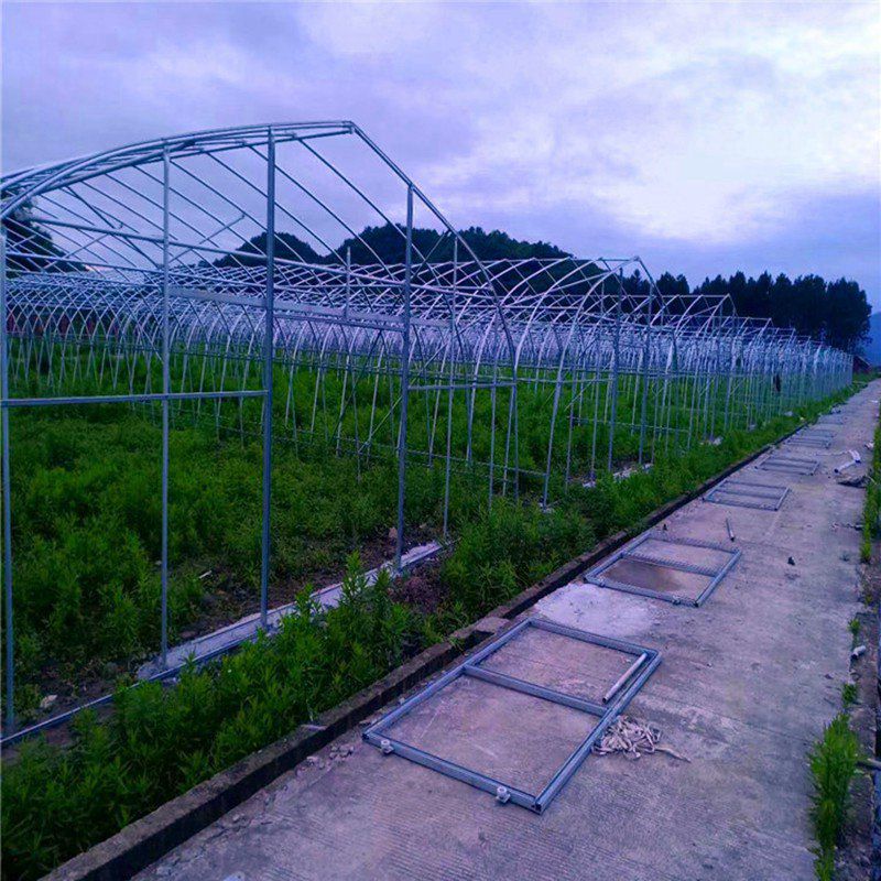 建陽大棚骨架