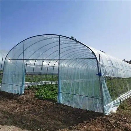 開封橢圓管大棚